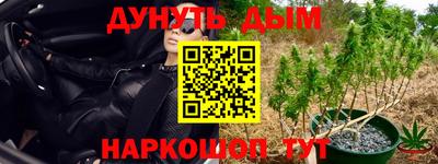 шишки Балахна